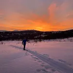 Arctic Comfort Senja