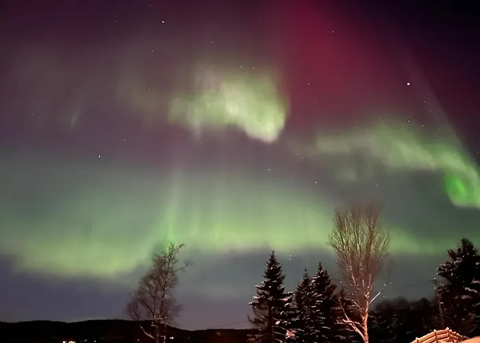 Arctic Comfort Senja Enga
