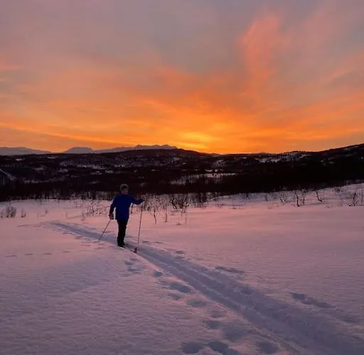 Arctic Comfort Senja