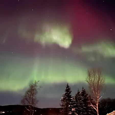 Arctic Comfort Senja Enga