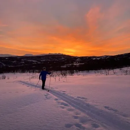 Arctic Comfort Senja
